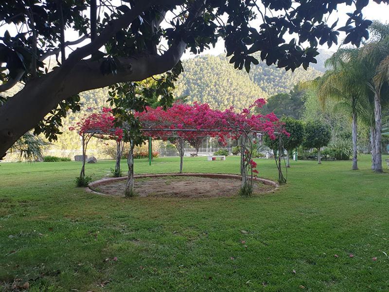 Villa Montgrau Llano de Gorra Kültér fotó